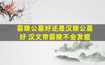 霸陵公墓好还是汉陵公墓好 汉文帝霸陵不会发掘